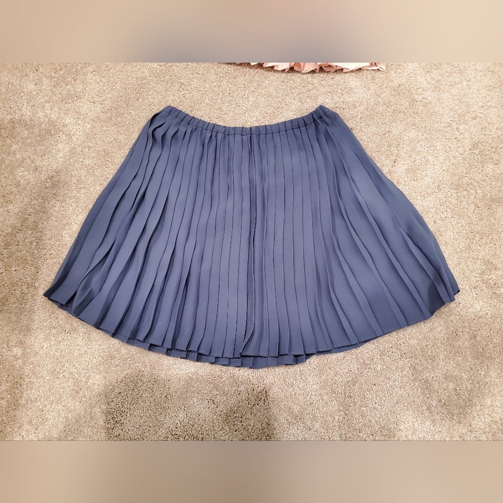 Banana Republic Libed Pleated Mini Skirt